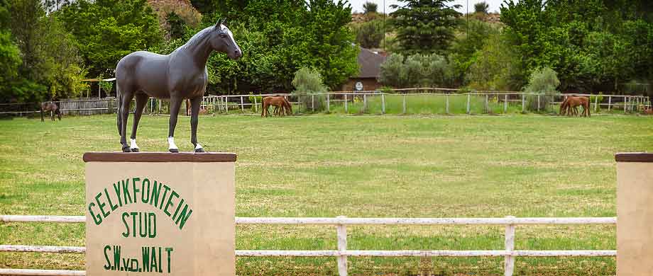 Gelykfontein farm stay, Morning Glory Cottages